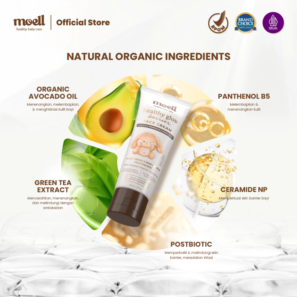Moell Face Cream 40gr – Healthy Glow Barrier With Green Tea Extract Panthenol 2